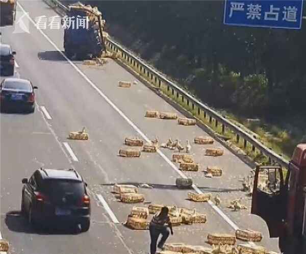 视频| 运鸭车高速上与"巨无霸"碰撞 小黄鸭跌落占满高速路面